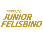 logo junior